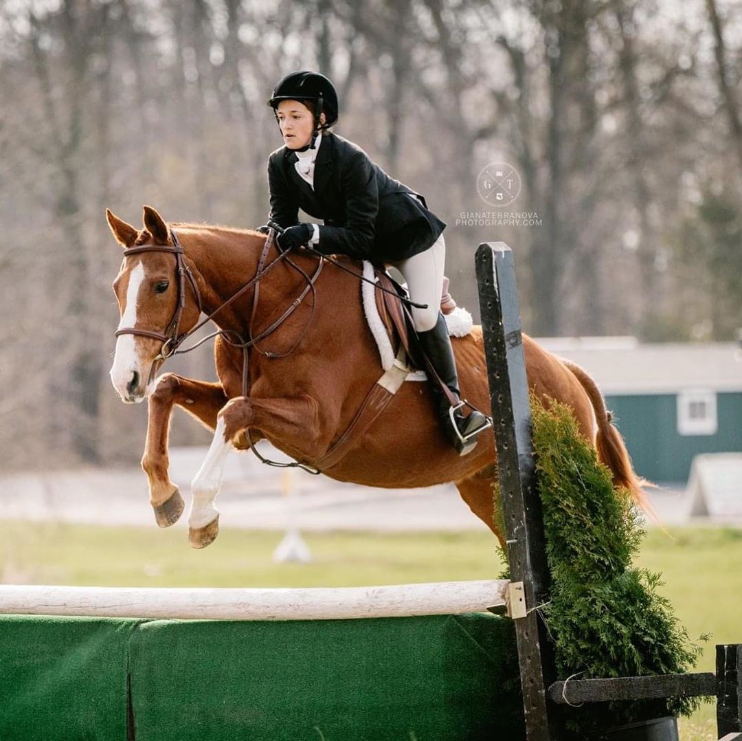 Meet the Horses Kiwi North Fork School of Equitation