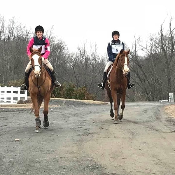 Meet the Horses Kiwi North Fork School of Equitation